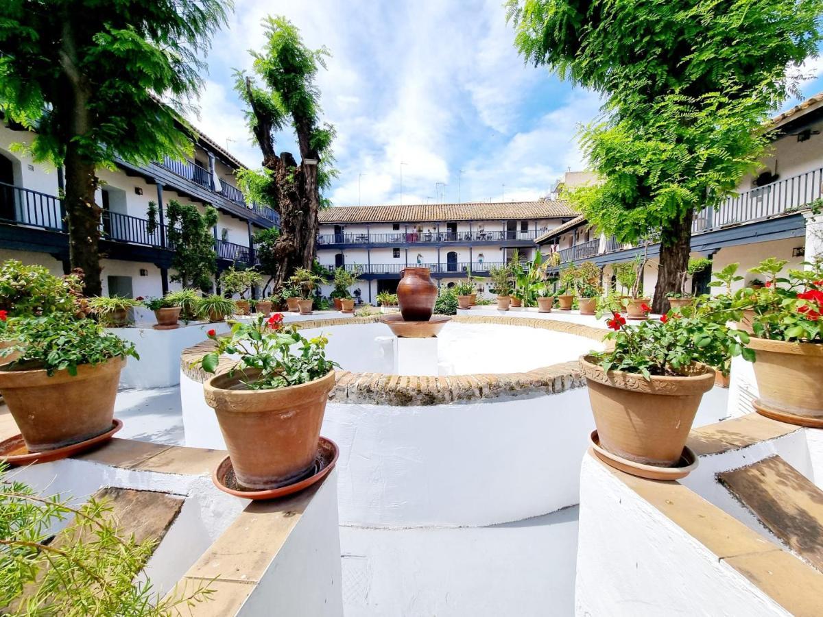 Apartamento Con Patio Sevillano — Photos 1